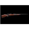 Image 2 : DSC Rifle, Gun of the Year