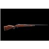 Image 3 : DSC Rifle, Gun of the Year