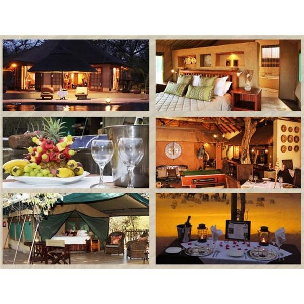 8-Day South Africa Safari - Philip Bronkhorst Safaris