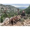 Image 1 : Hunters Choice - Spain