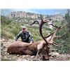 Image 8 : Hunters Choice - Spain