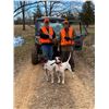 Image 3 : QUAIL HUNT FOR 2 (EAST TEXAS) W/ WILDCAT CREEK RANCH