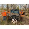 Image 6 : QUAIL HUNT FOR 2 (EAST TEXAS) W/ WILDCAT CREEK RANCH
