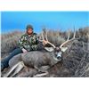 Image 12 : MULE DEER "MANAGEMENT" (UP TO 165") HUNT FOR 1 (TEXAS) W/ JWP OUTDOORS