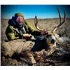 Image 15 : MULE DEER "MANAGEMENT" (UP TO 165") HUNT FOR 1 (TEXAS) W/ JWP OUTDOORS