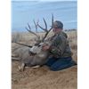 Image 3 : MULE DEER "MANAGEMENT" (UP TO 165") HUNT FOR 1 (TEXAS) W/ JWP OUTDOORS