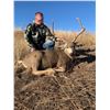 Image 5 : MULE DEER "MANAGEMENT" (UP TO 165") HUNT FOR 1 (TEXAS) W/ JWP OUTDOORS