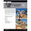 Image 2 : AOUDAD RAM HUNT FOR 1 (NEAR FORT DAVIS, TX) W/ H.E. SPROUL RANCH