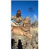 Image 6 : AOUDAD RAM HUNT FOR 1 (NEAR FORT DAVIS, TX) W/ H.E. SPROUL RANCH