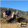 Image 7 : CANADIAN MOOSE & BLACK BEAR COMBO FOR 1 (NEWFOUNDLAND) W/ ARLUK OUTFITTERS
