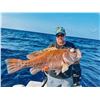 Image 16 : CARIBBEAN FISHING, DIVING & SNORKELING ADVENTURE VACATION W/ BLUE REEF ISLAND (BELIZE)