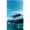 Image 22 : CARIBBEAN FISHING, DIVING & SNORKELING ADVENTURE VACATION W/ BLUE REEF ISLAND (BELIZE)