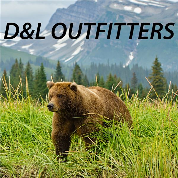 GRIZZLY/BROWN BEAR & WOLF HUNT FOR 1 (ALASKA ) W/ D&L OUTFITTERS