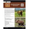 Image 2 : GRIZZLY/BROWN BEAR & WOLF HUNT FOR 1 (ALASKA ) W/ D&L OUTFITTERS