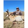Image 5 : PRONGHORN ANTELOPE HUNT W/ PANHANDLE SLIM OUTFITTING (TEXAS PANHANDLE)