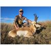 Image 6 : PRONGHORN ANTELOPE HUNT W/ PANHANDLE SLIM OUTFITTING (TEXAS PANHANDLE)