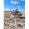 Image 7 : PRONGHORN ANTELOPE HUNT W/ PANHANDLE SLIM OUTFITTING (TEXAS PANHANDLE)