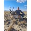 Image 8 : PRONGHORN ANTELOPE HUNT W/ PANHANDLE SLIM OUTFITTING (TEXAS PANHANDLE)