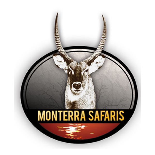 8+ ANIMAL DAY & NIGHT SAFARI FOR 1 (SOUTH AFRICA) W/ MONTERRA SAFARIS