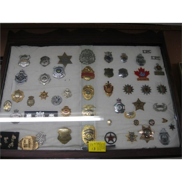 Police Display POLICE BADGES IN DISPLAY CASE - Dodds Auction