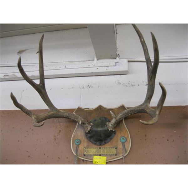 LG. MULE DEER RACK - Dodds Auction