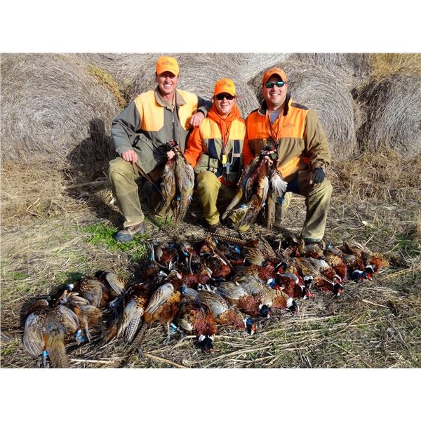 Cheyenne Ridge Pheasant Hunt
