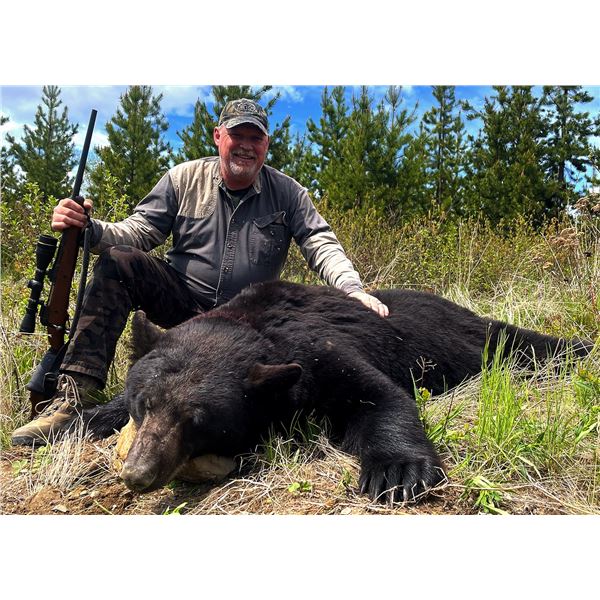 6 DAY BRITISH COLUMBIA BLACK BEAR HUNT FOR 2 HUNTERS