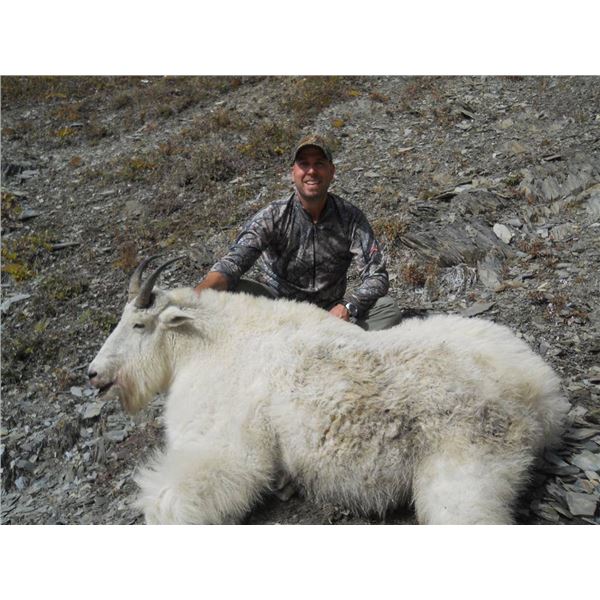 10 DAY MOUNTAIN GOAT, BLACK BEAR, AND WOLF HUNT FOR 1 HUNTER IN BRITISH COLUMBIA
