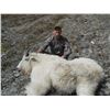 Image 1 : 10 DAY MOUNTAIN GOAT, BLACK BEAR, AND WOLF HUNT FOR 1 HUNTER IN BRITISH COLUMBIA