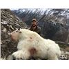 Image 2 : 10 DAY MOUNTAIN GOAT, BLACK BEAR, AND WOLF HUNT FOR 1 HUNTER IN BRITISH COLUMBIA