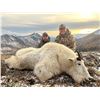 Image 3 : 10 DAY MOUNTAIN GOAT, BLACK BEAR, AND WOLF HUNT FOR 1 HUNTER IN BRITISH COLUMBIA