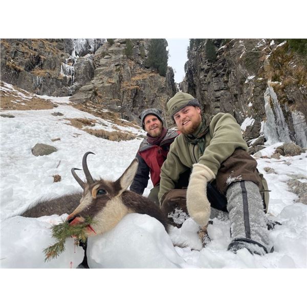 AUSTRIA MOUNTAIN HUNTING FOR ONE HUNTER AND ONE OBSERVER