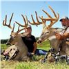 Image 1 : 2 DAY, 3 NIGHT WHITETAIL DEER HUNT FOR ONE HUNTER - FIVE STATE CHOICE