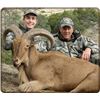 Image 1 : TWO DAY CALIFORNIA TROPHY AOUDAD SHEEP HUNT FOR ONE HUNTER
