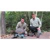 Image 1 : SEVEN DAY OCELLATED TURKEY HUNT ON THE YUCATAN PENINSULA FOR ONE HUNTER