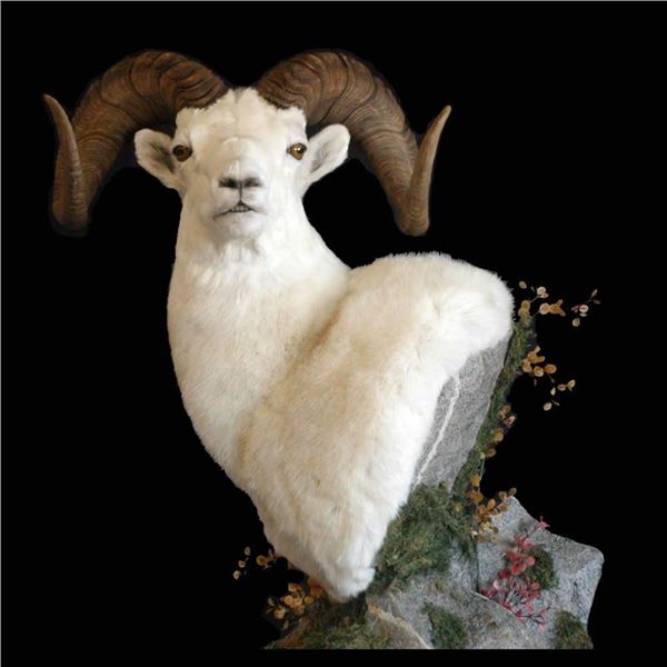 ARTISTIC WILDLIFE TAXIDERMY PEDESTAL MOUNT