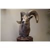 Image 2 : ARTISTIC WILDLIFE TAXIDERMY PEDESTAL MOUNT