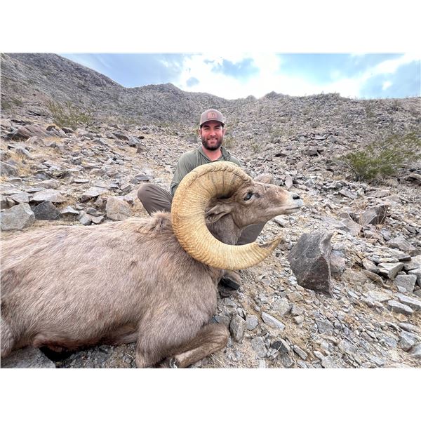STATE OF CALIFORNIA 2024 CADY MOUNTAIN SHEEP PERMIT
