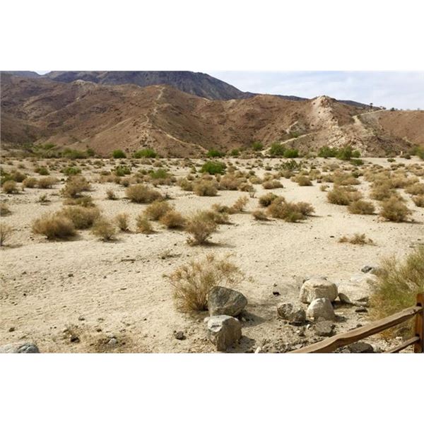 PRIVATE FAMILY DESERT EXCURSION WEEKEND FOR FOUR