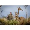 Image 1 : ARGENTINA RED STAG HUNT FOR TWO