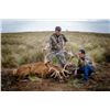 Image 2 : ARGENTINA RED STAG HUNT FOR TWO