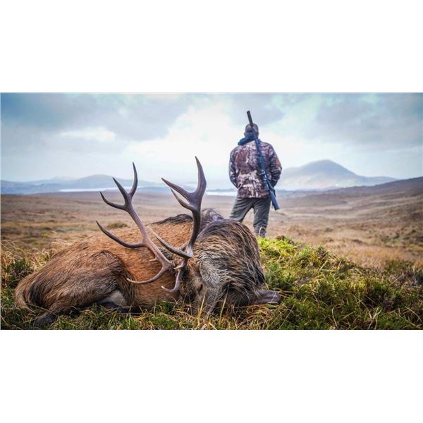 IRELAND HUNT for TWO with TROPHY FEE CREDIT