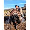 Image 4 : ARIZONA MERRIAM’s TURKEY HUNT