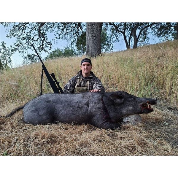 2 DAY RIFLE WILD PIG HUNT WITH LOST VALLEY OUTFITTERS – 2 HUNTERS 1 PIG EACH
