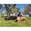 Image 2 : 2 DAY RIFLE WILD PIG HUNT WITH LOST VALLEY OUTFITTERS – 2 HUNTERS 1 PIG EACH