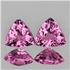 Image 1 : Natural Pink Sapphire Pair  {Flawless-VVS}