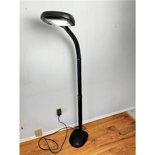 Verilux Floor Lamp