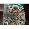 Image 2 : Costume Jewelry Lot