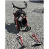 Image 3 : Evolution Walker and Basket