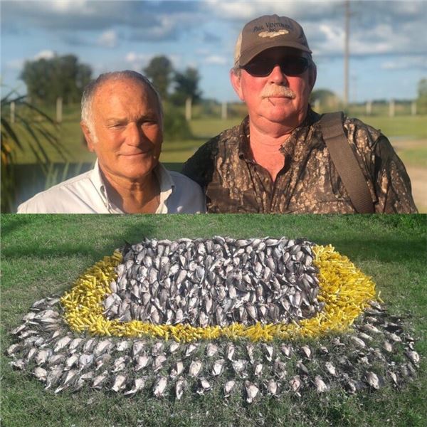 Argentina Dove Hunt for 2